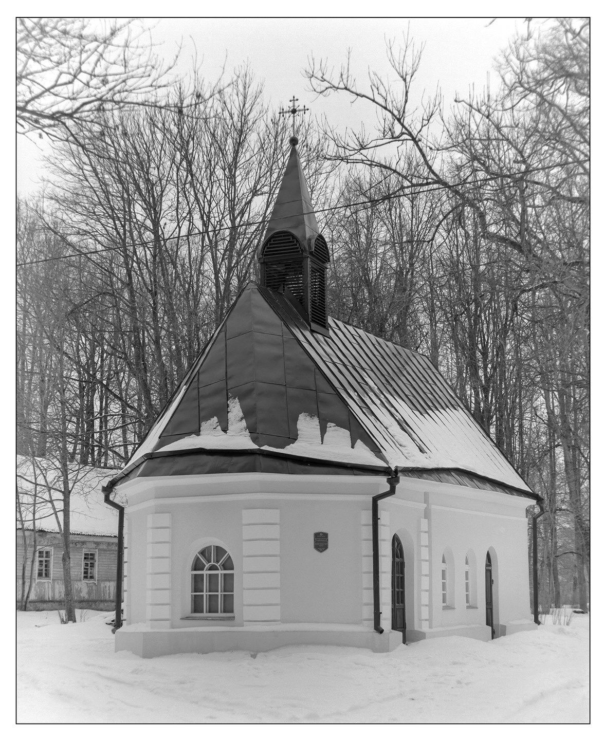 Плёнка Kodak 100 TMX