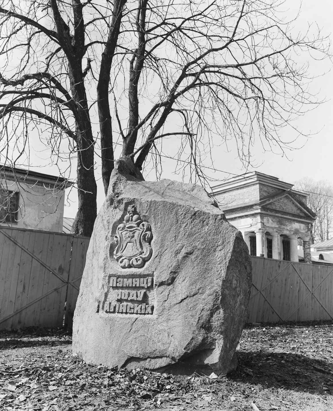 Плёнка Kodak 100 TMX