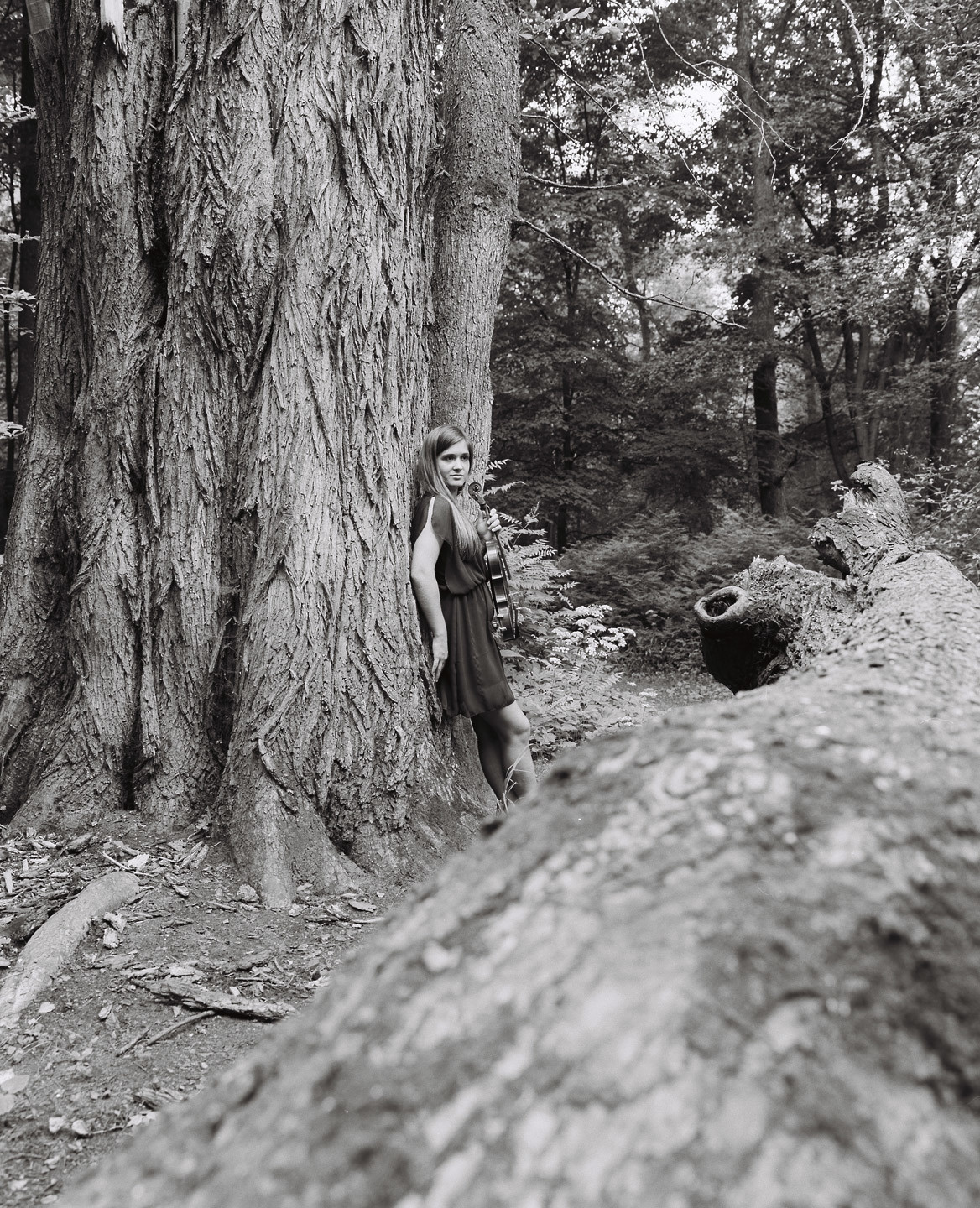 Плёнка Kodak 100 TMX