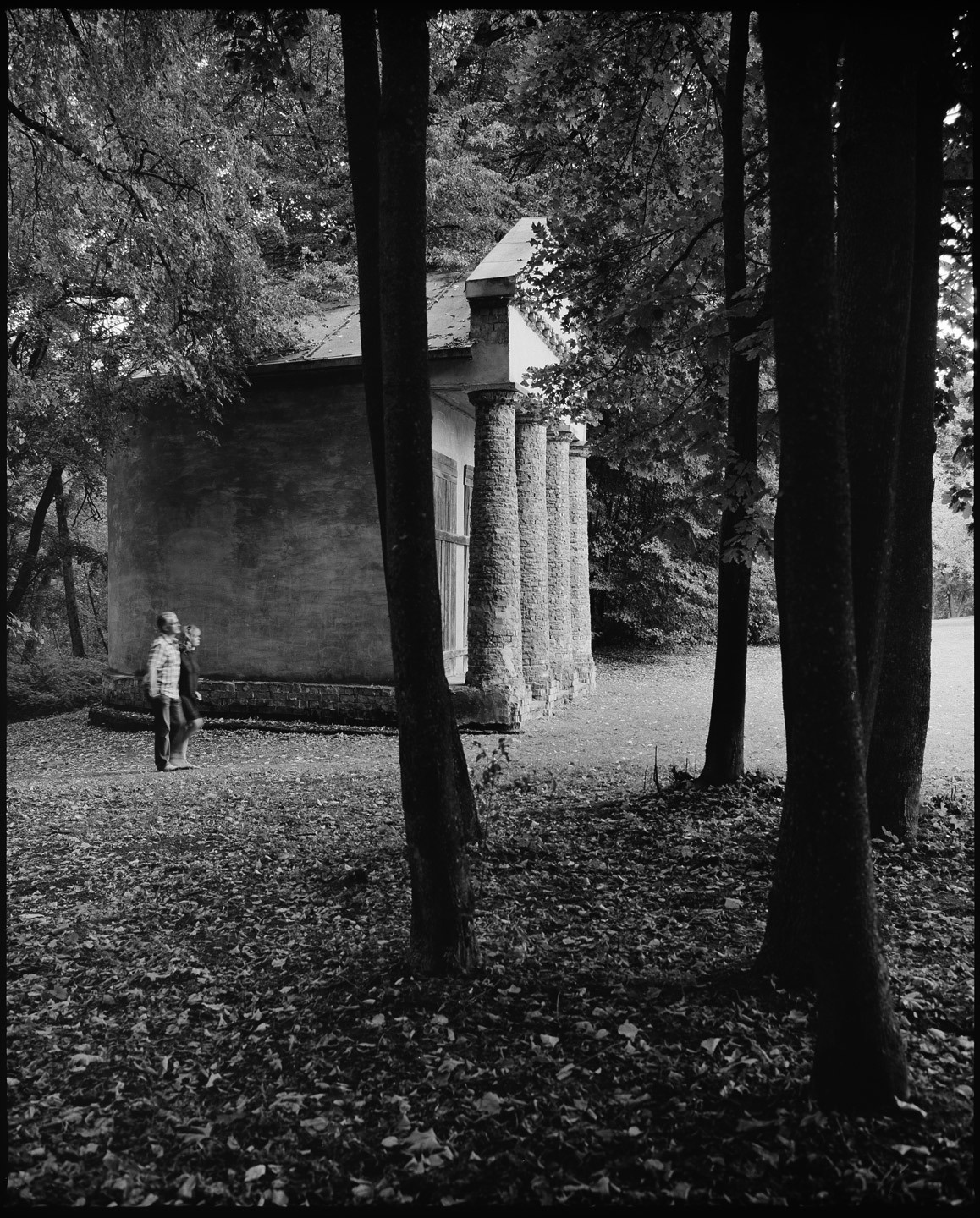 Плёнка Kodak 100 TMX