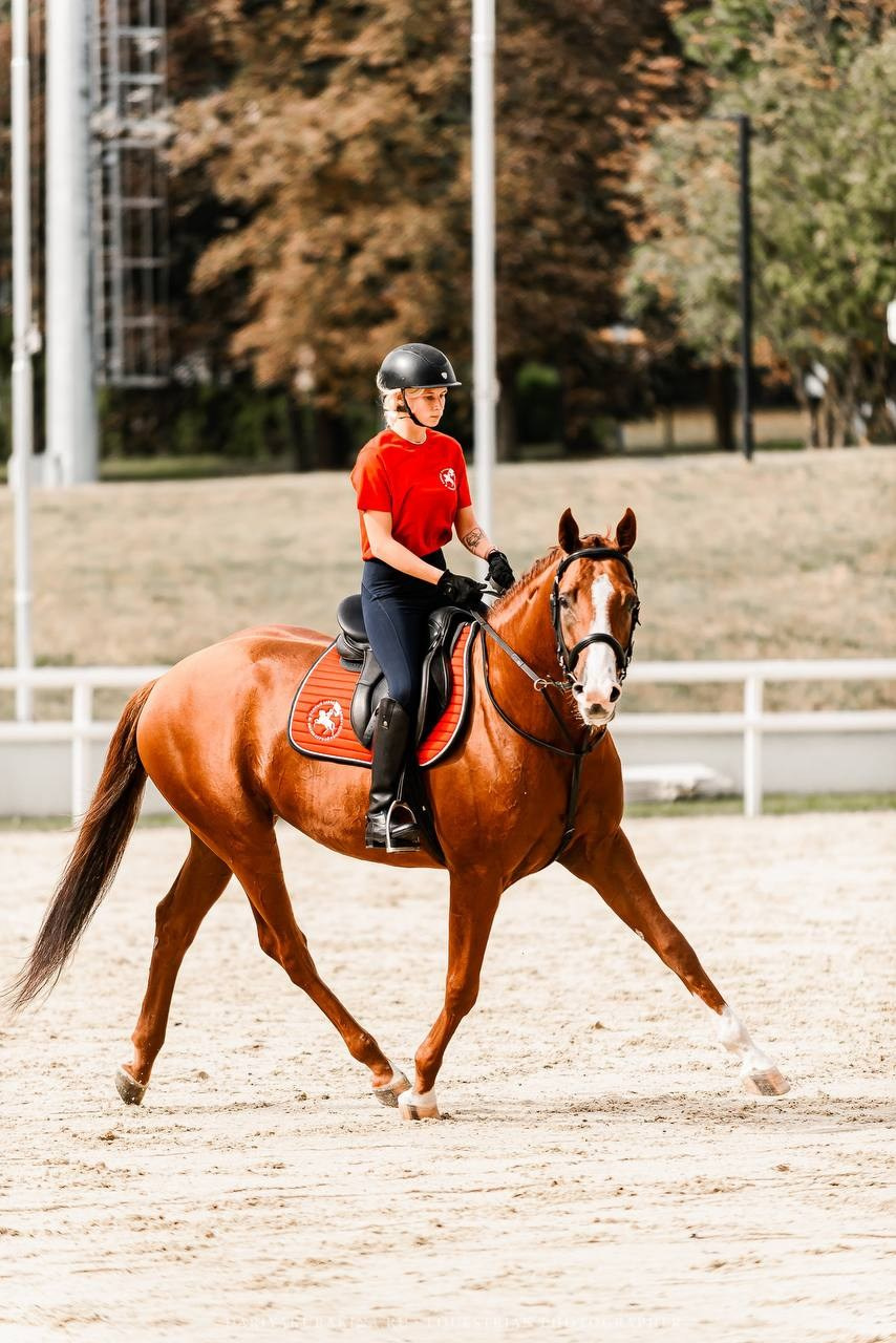 ЭКВИРОС 2024. Конный фотограф Куракина Дарья • Фотосессии с лошадьми