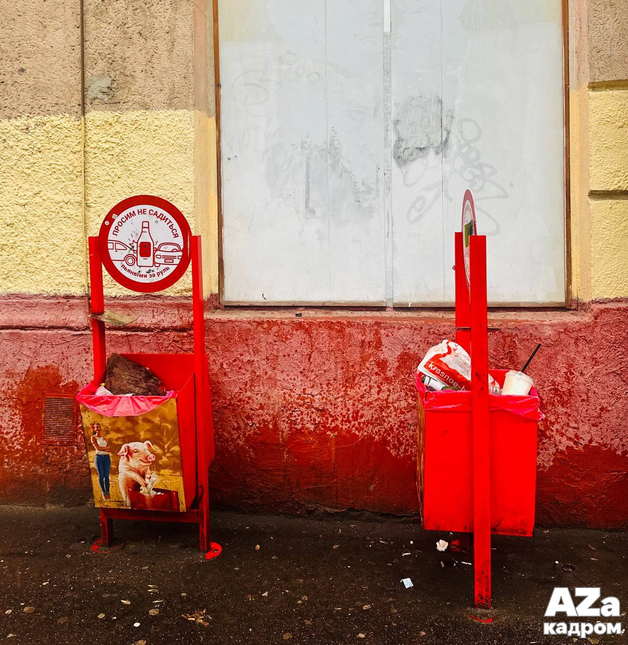 AZакадром «В поисках красного». Женский семейный фотограф Тула Москва Захарова Анна