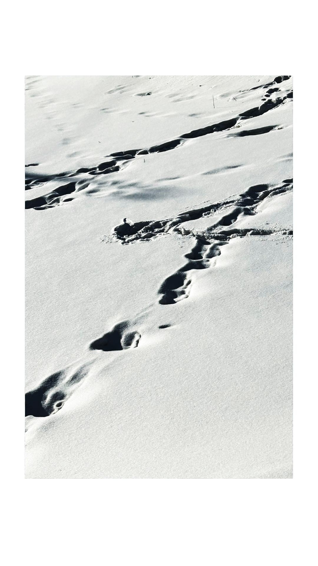 Зима по-сибирски. Главная