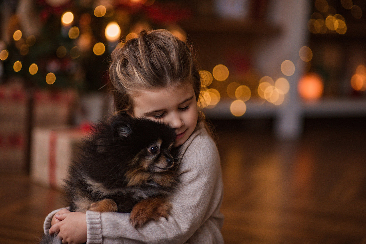 Новый год. Главная