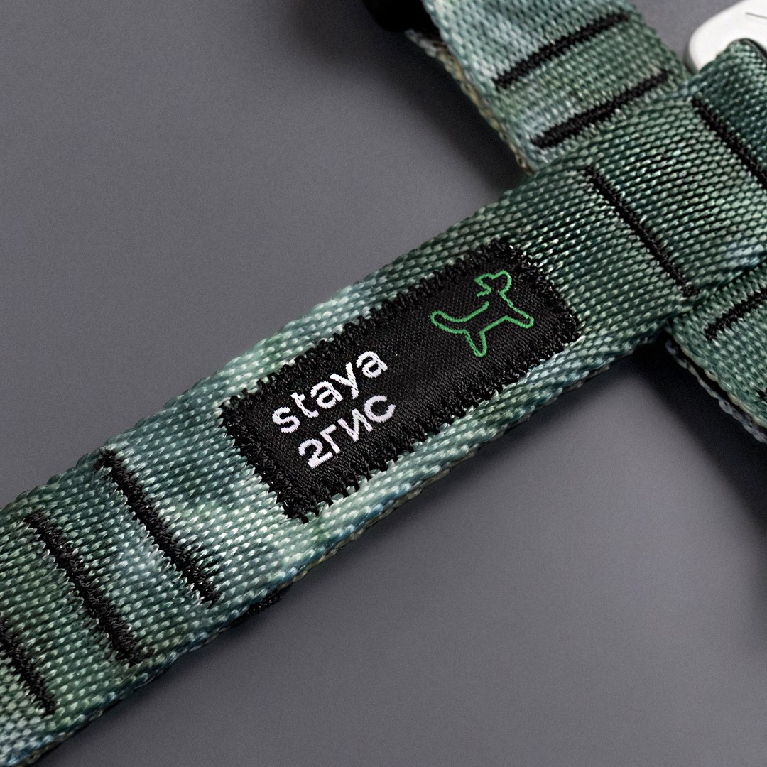 2ГИС & staya. Романова Александра фотограф в Москве