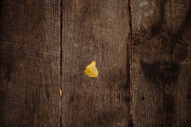 Сюжет № 12|Волкова Дарья