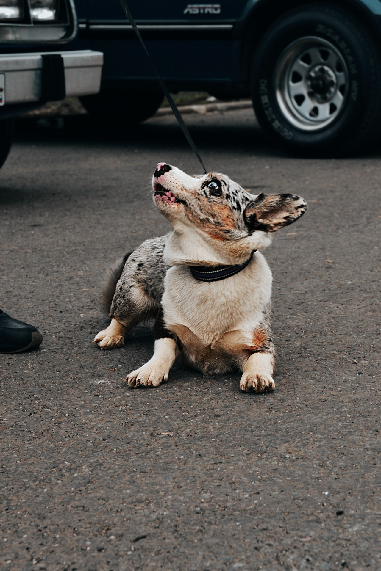 АВТОМОБИЛИ — МЕРОПРИЯТИЯ. Фотограф в Москве — Олег Штыканов
