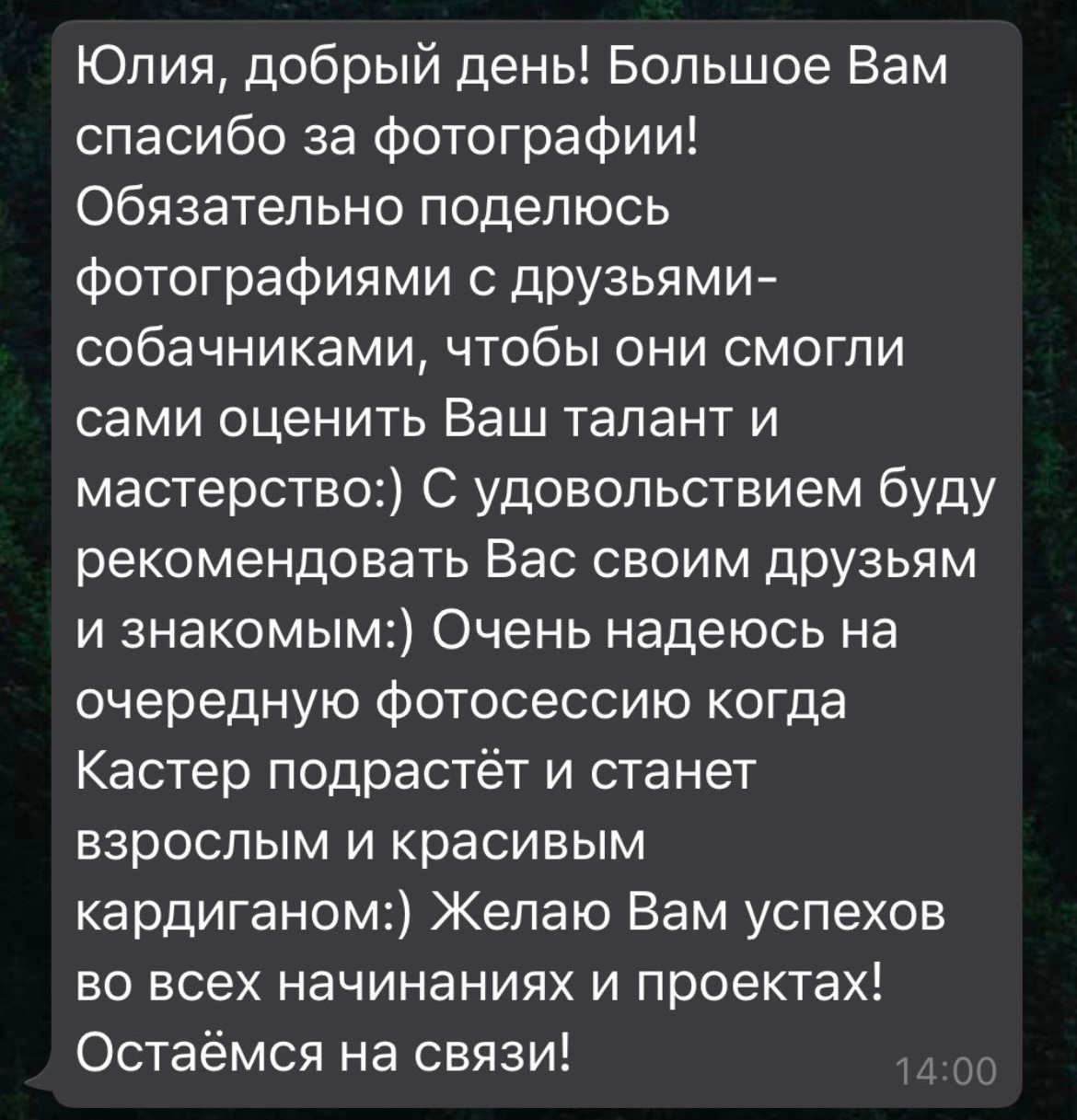 Фотосессия очаровательного малыша Кастера. Фотограф-анималист в Москве Юлия Лайхо