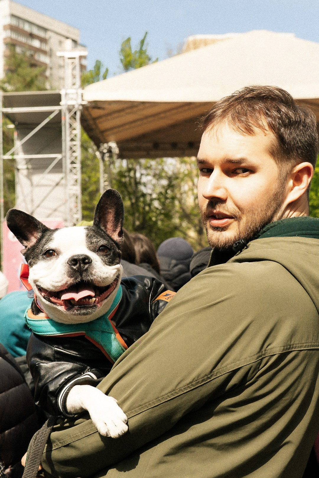 Парад Бульдогов. Axenov_eugene