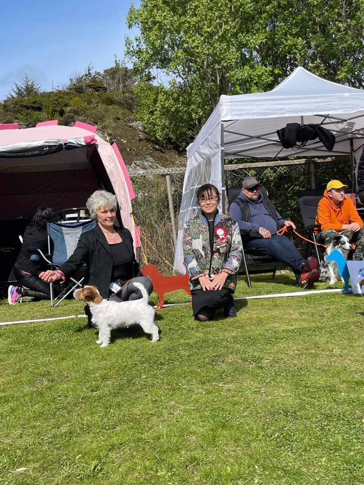 CM KIT_KAT. КАНЕ МАЭСТРО — питомник Джек рассел терьеров