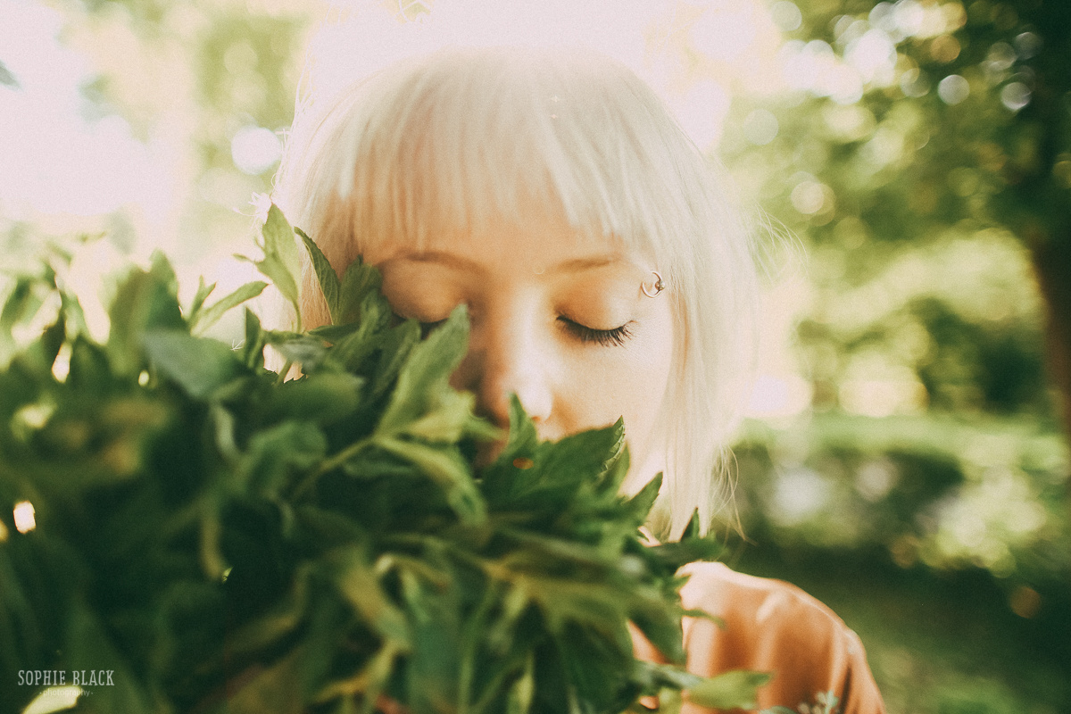 За два часа до начала лета. Соня Черных (sophieblack)