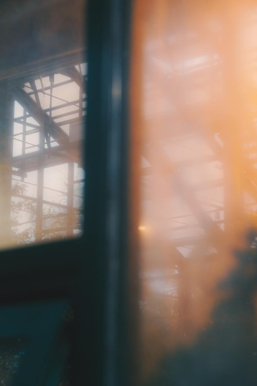 Аптекарский огород. Софа Катастрофа, Одичание. фотохудожница, креативный продюсер, автор. Nude, eros, портретный фотограф