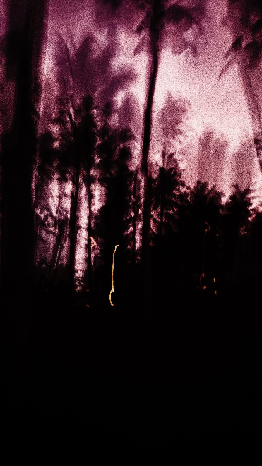 With open eyes. Carolinetru