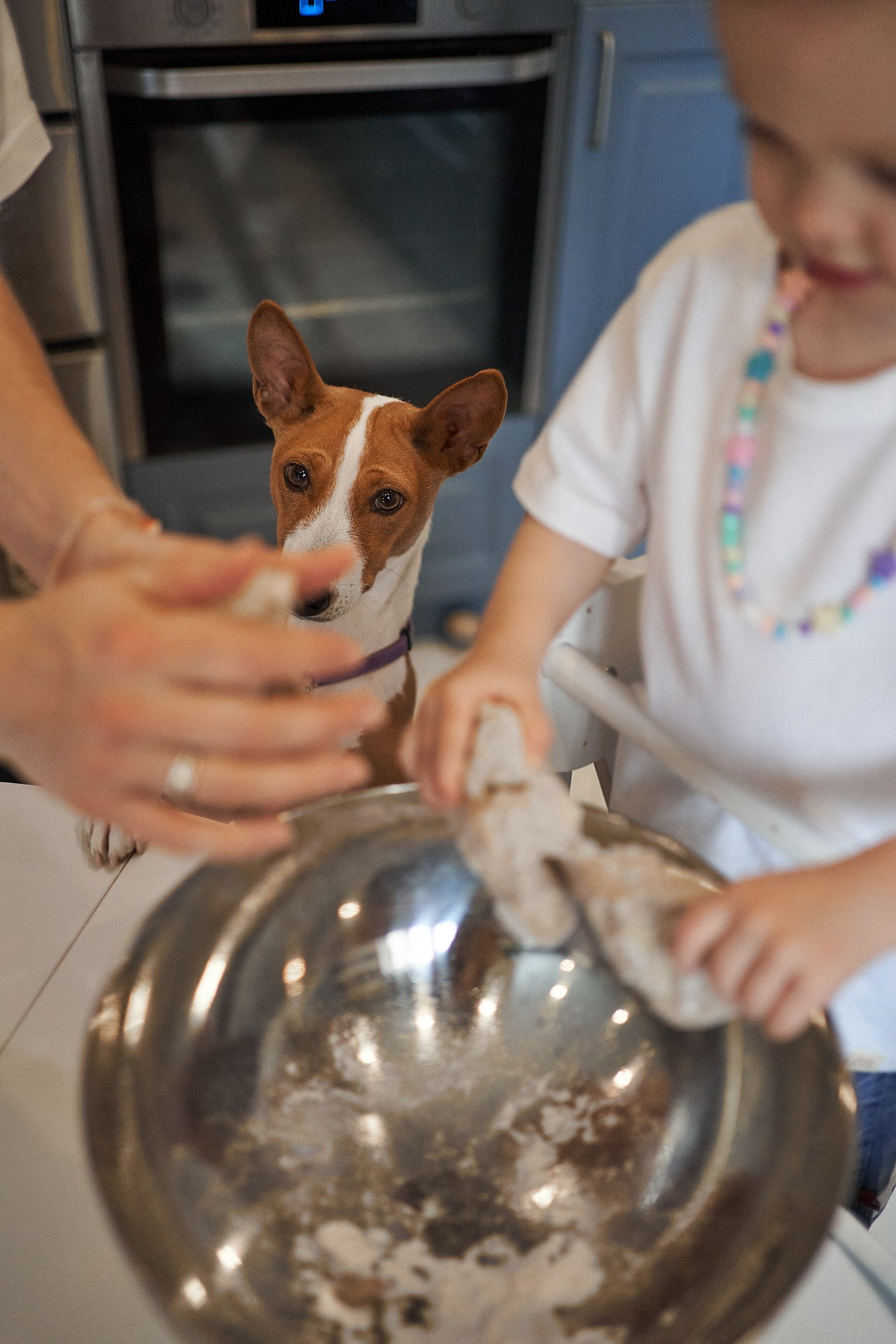 Аня, Майя и Пепси. Фотограф анималист Москва Дарья