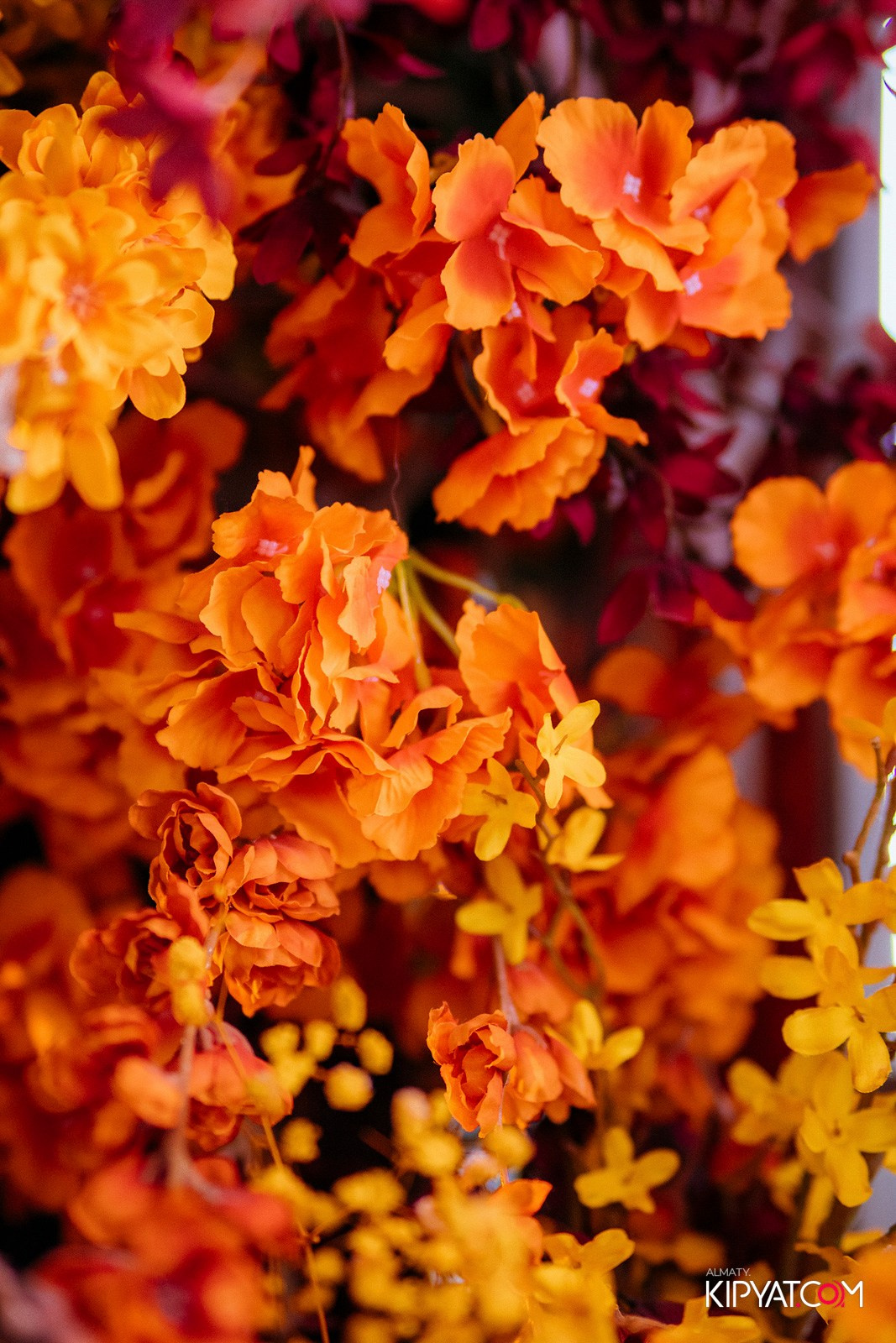 FRIENDS BAR & TERRACE. КИПЯТКОМ АЛМАТЫ!