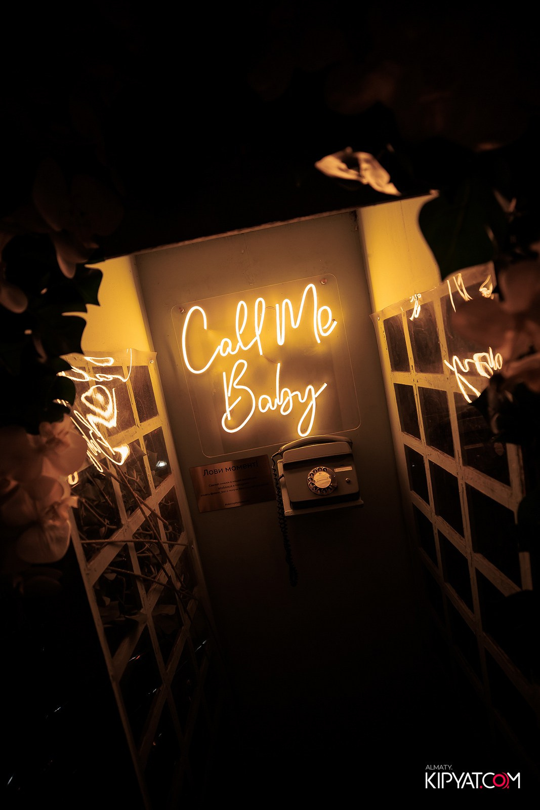 OLOVO BAR НА САТПАЕВА. КИПЯТКОМ АЛМАТЫ!