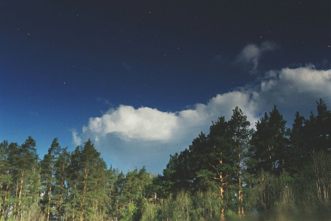 Плёнка 2016. Анастасия Либерти