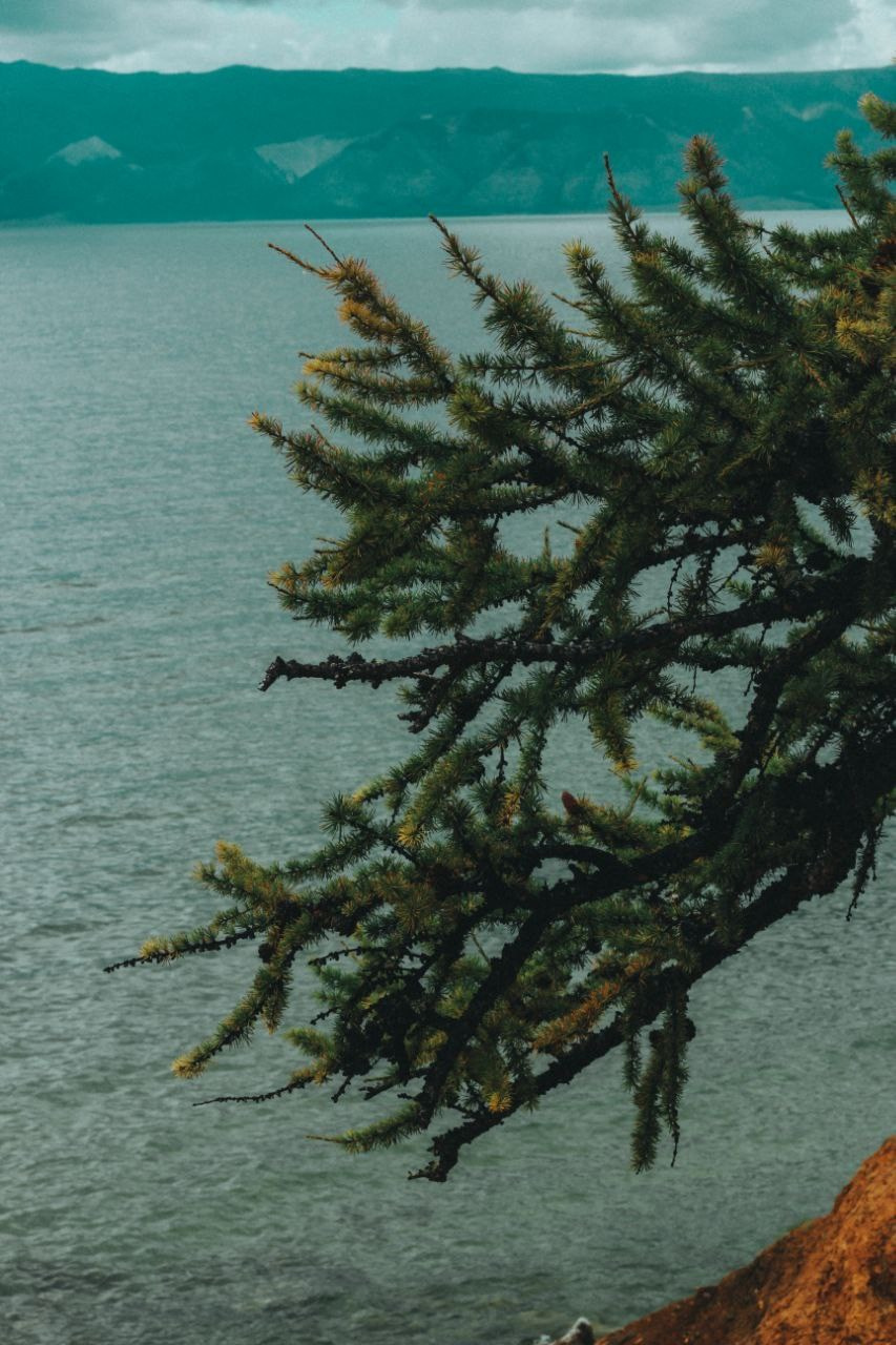 LAKE BAIKAL SUMMER. Главная