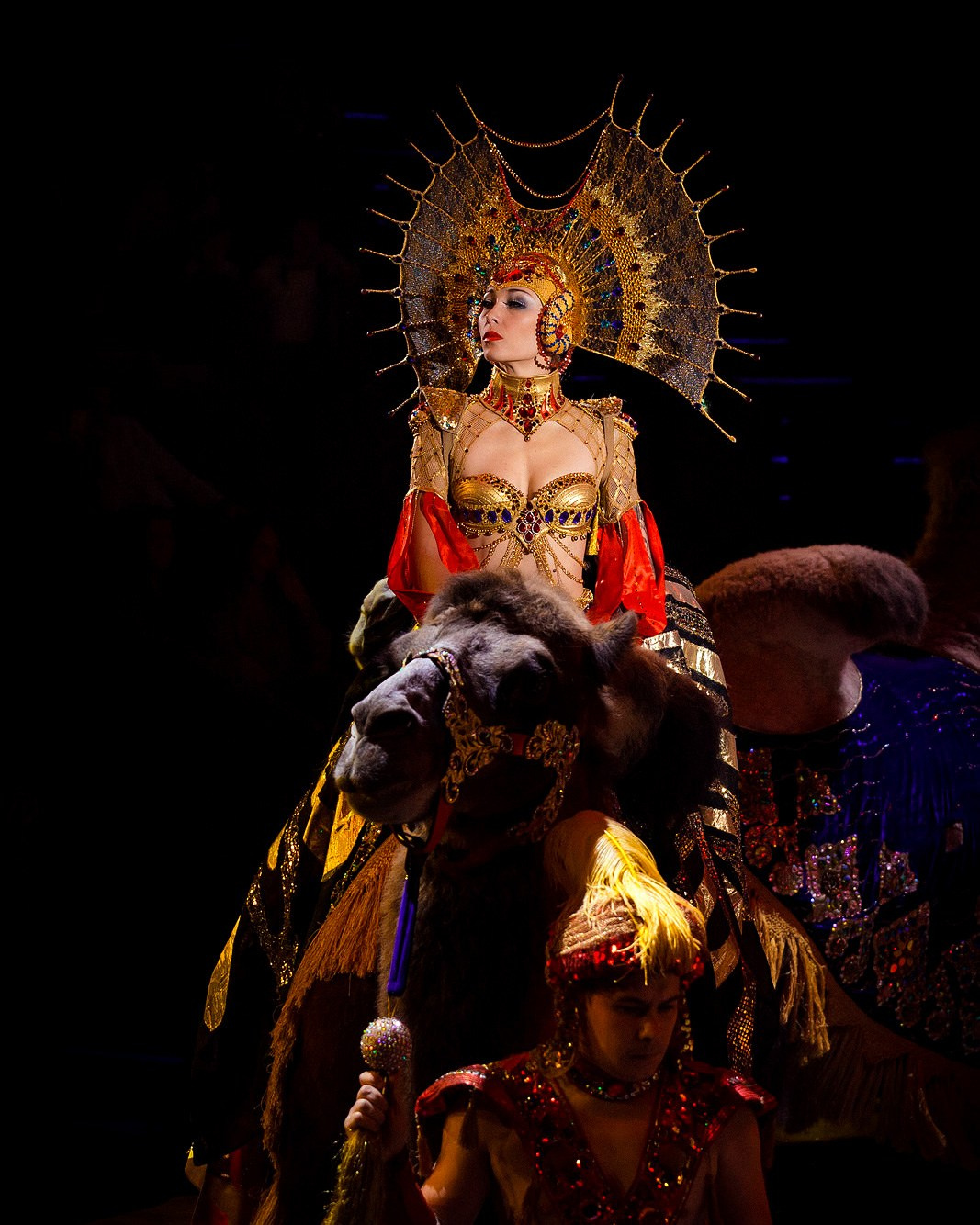 ЦИРК. Фотограф и видеограф для бизнеса в Москве — фуд, рестораны, интерьер, контент | Sizov Studio