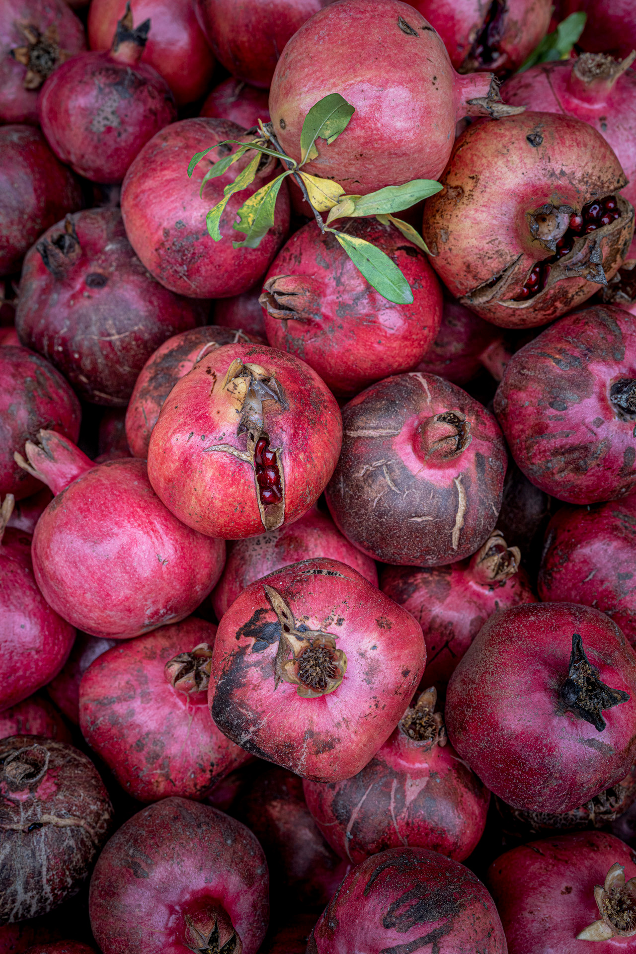 Дагестан (октябрь 2021). Фотограф Сергей Танков