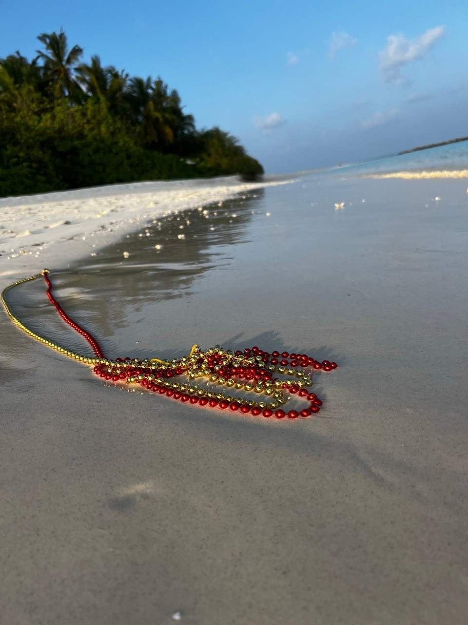 Природа и животные. Творческий фотограф Ирина Баландина.  Санкт-Петербург, Мурманск