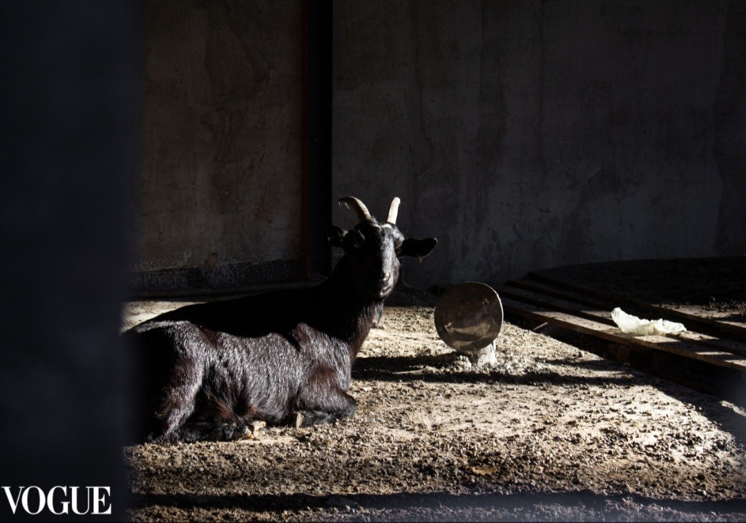 Мои публикации в итальянском журнале VOGUE. Ольга Степанова фотограф визажист в Санкт-Петербурге