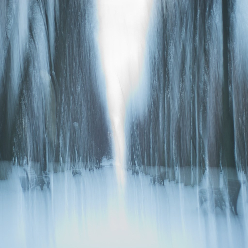 FOG Collection. ALEXEY KRYLOV | Photography