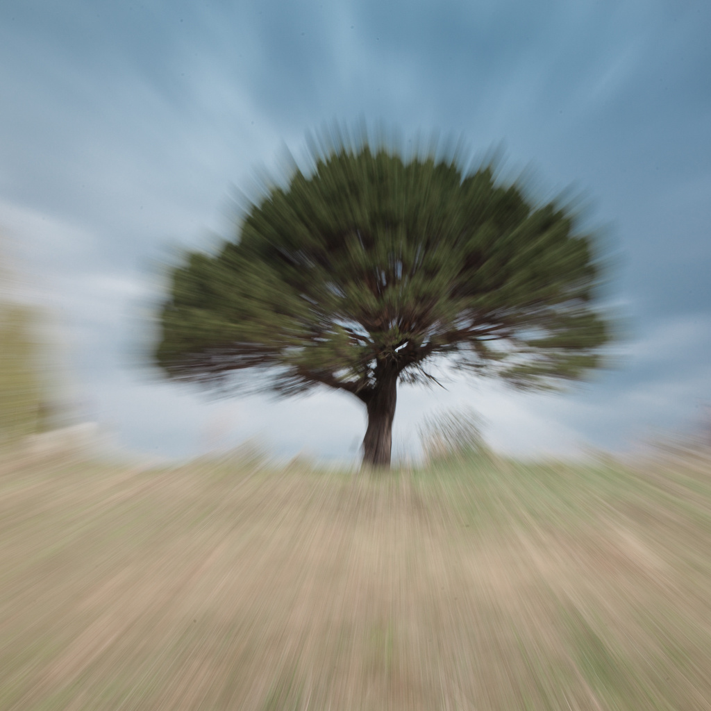 FOG Collection. ALEXEY KRYLOV | Photography