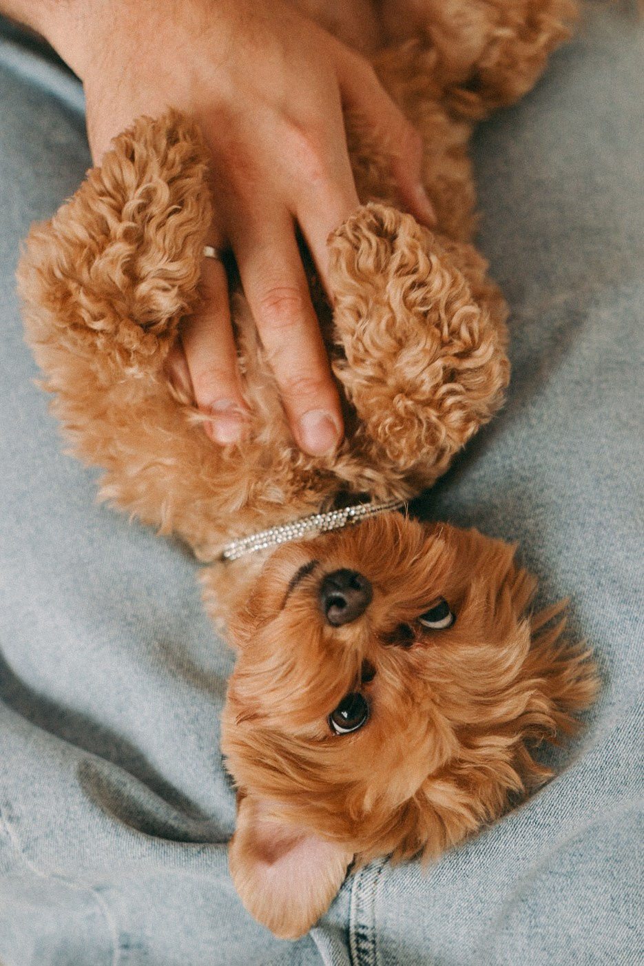 Family. Фотограф Нижний Новгород