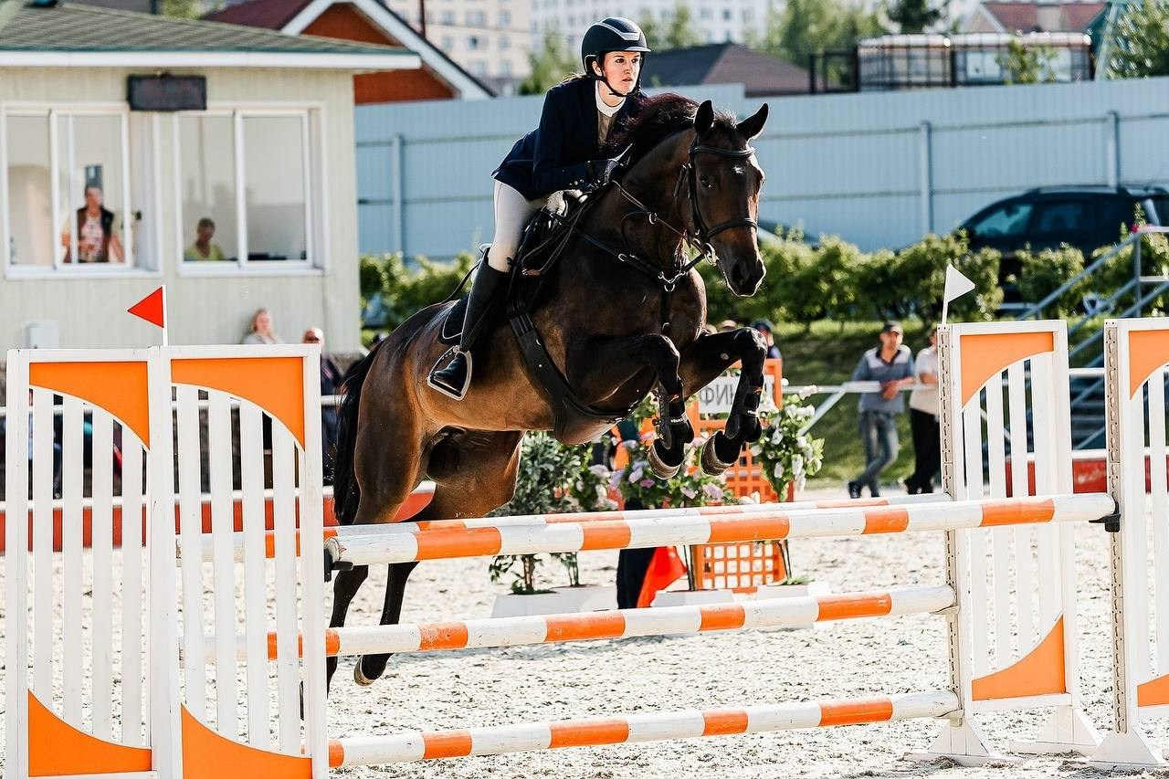 ЛЕТНИЙ КУБОК КСК «КОНКОРД» по КОНКУРУ. Конный фотограф Куракина Дарья • Фотосессии с лошадьми