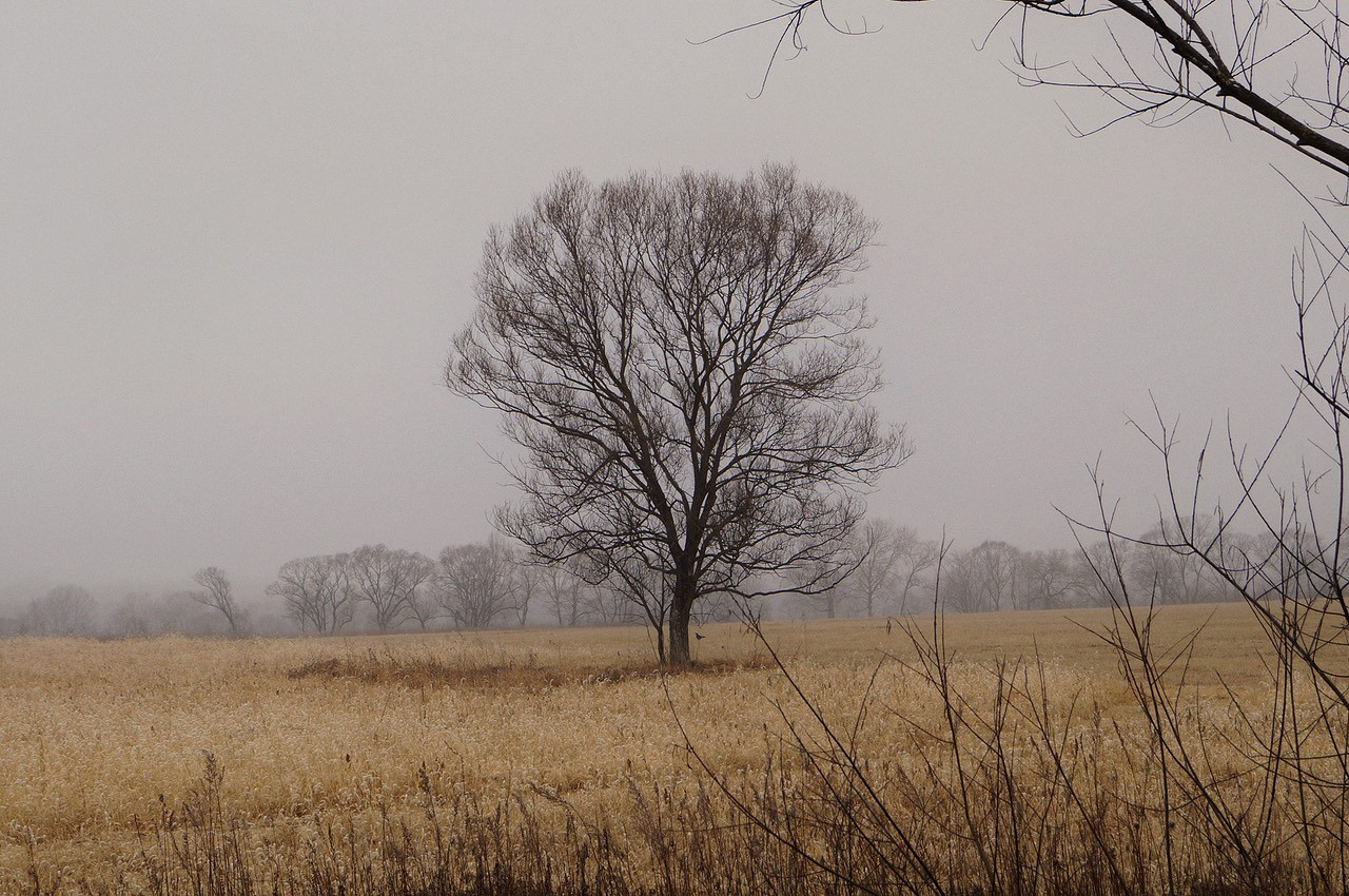 Путешествия. YUULETAAAA