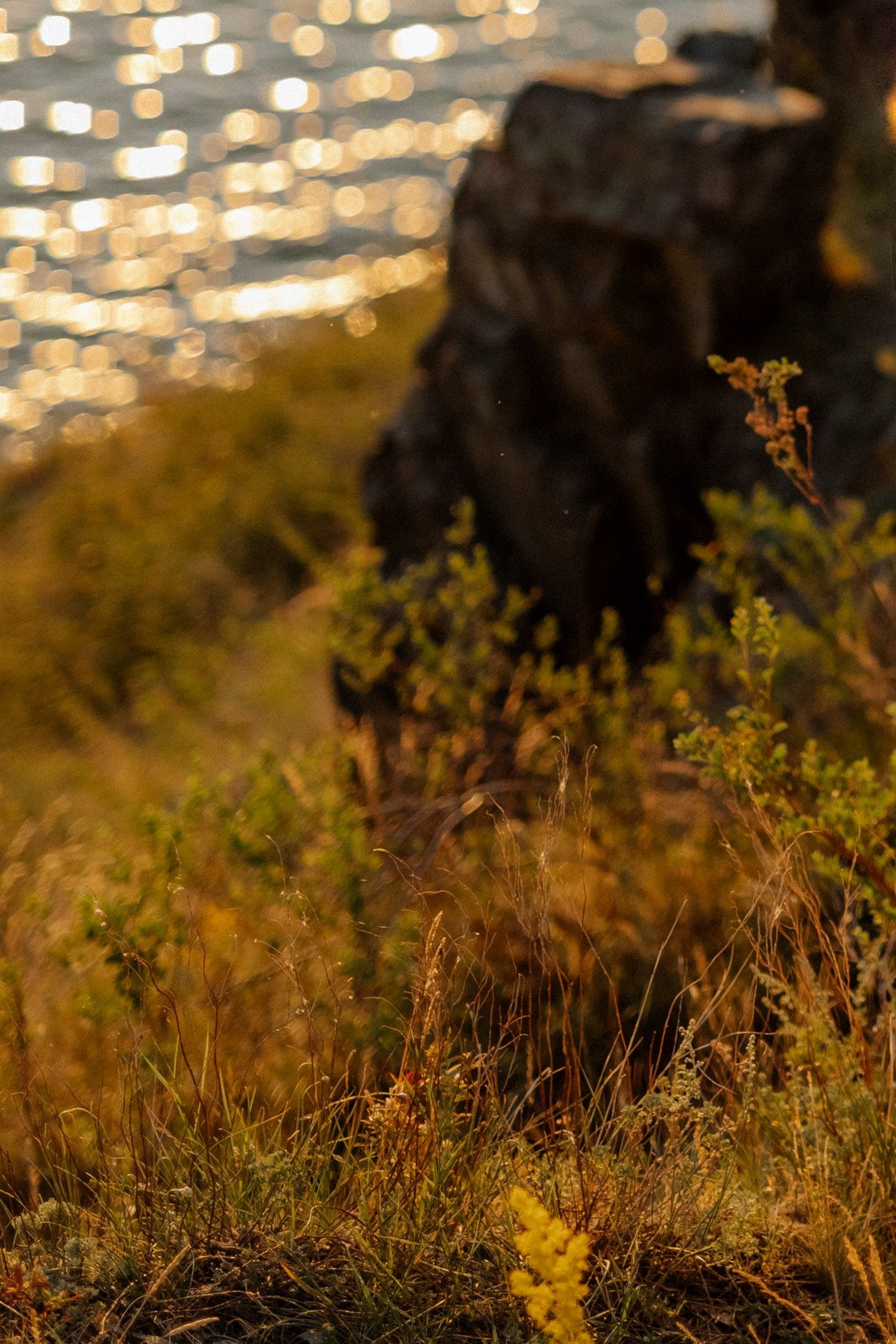 Настя и Саша. Фотограф в Челябинске