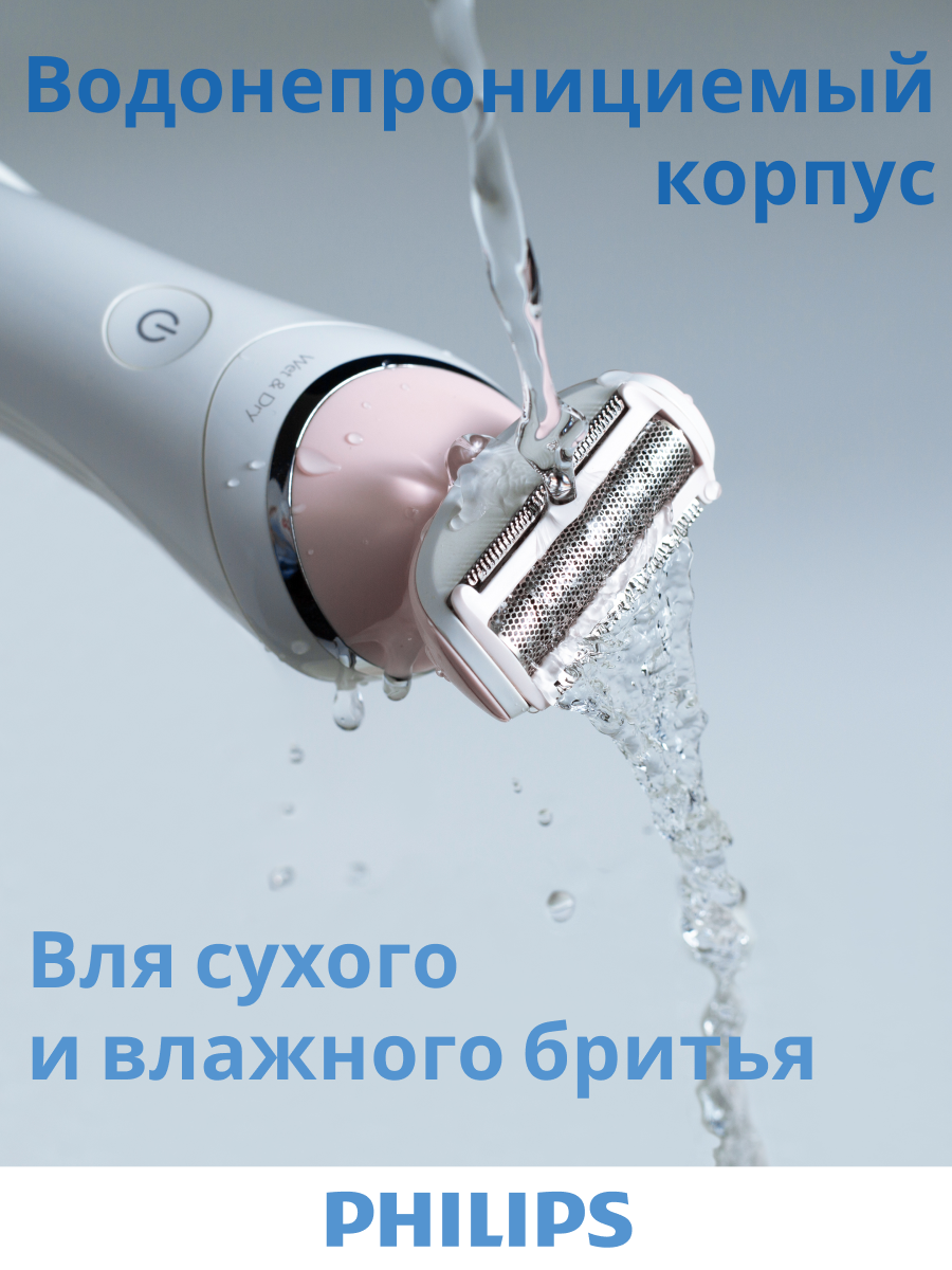 Портфолио