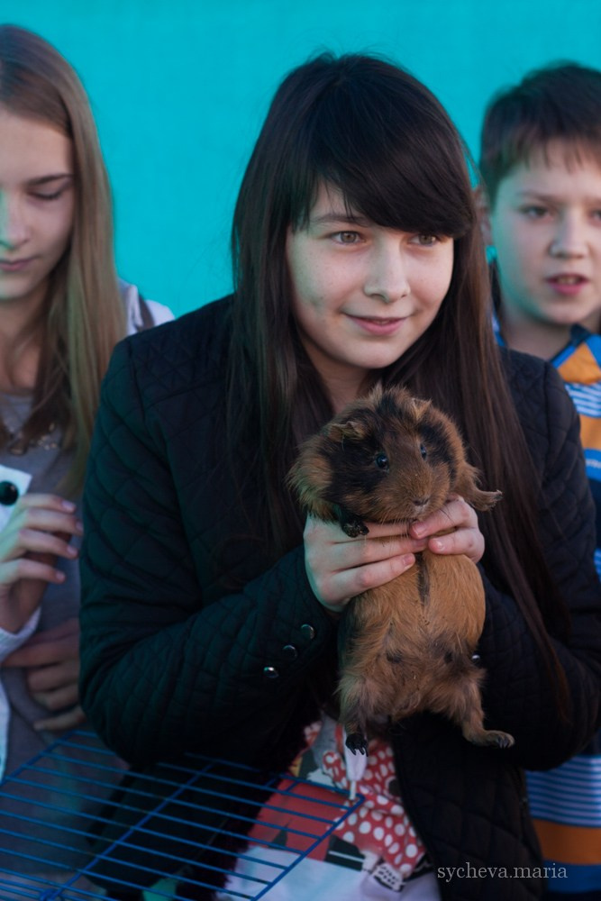 Ярмарка талантов. Детский и семейный фотограф, фотограф мероприятий Нижний Новгород