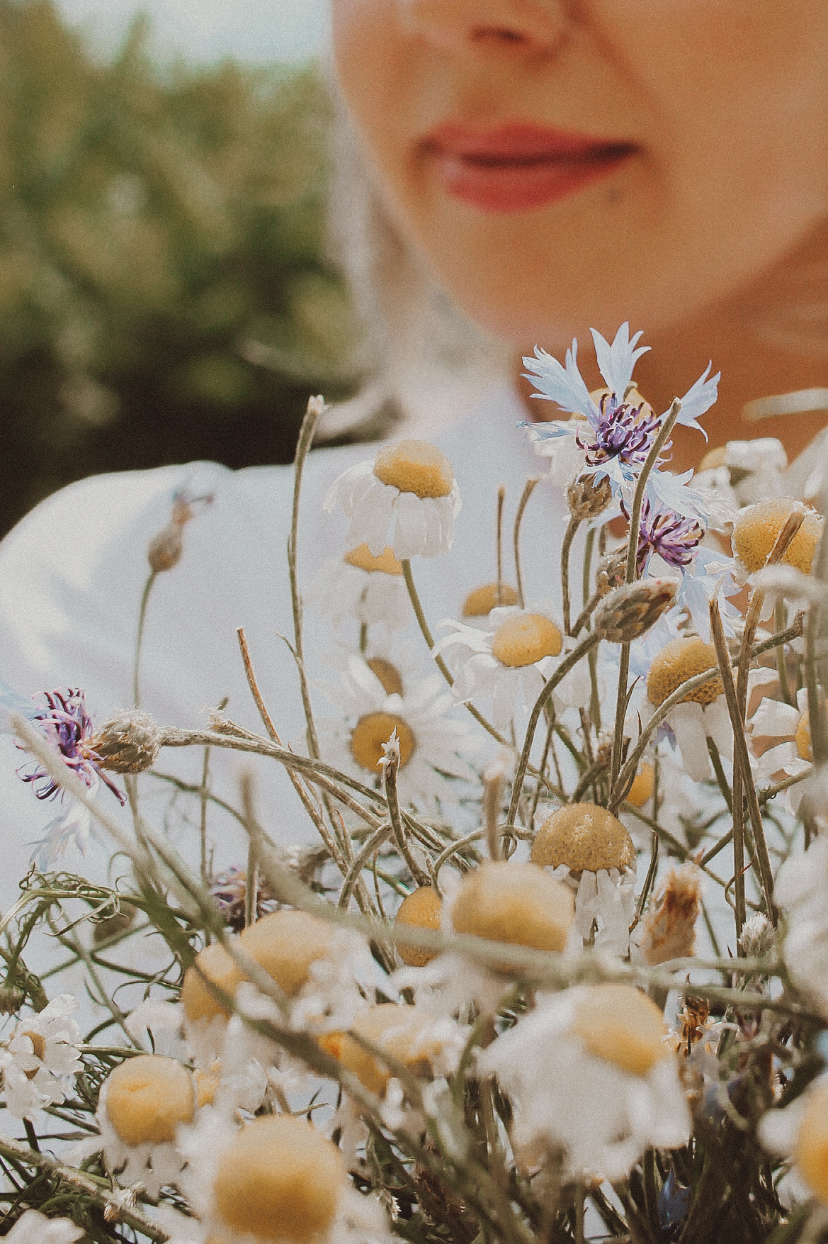 Летний парк и ромашки. Коммерческий фотограф. Ростов-на-Дону. Дарья Константинова