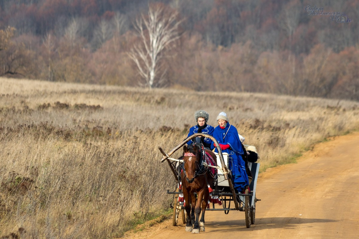 Конно-псовые охоты. Балетный фотограф в Москве Галина Молчанова