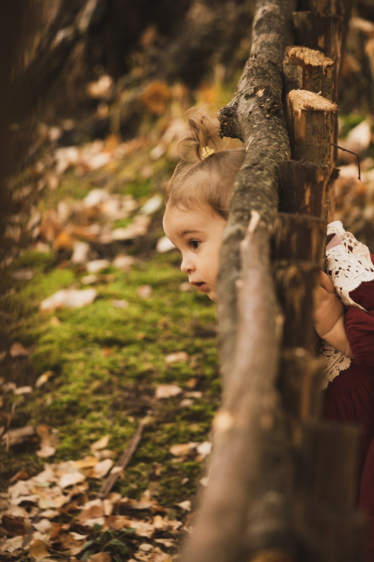 Отзывы. Фотограф Москва и МО Анастасия Пясковская