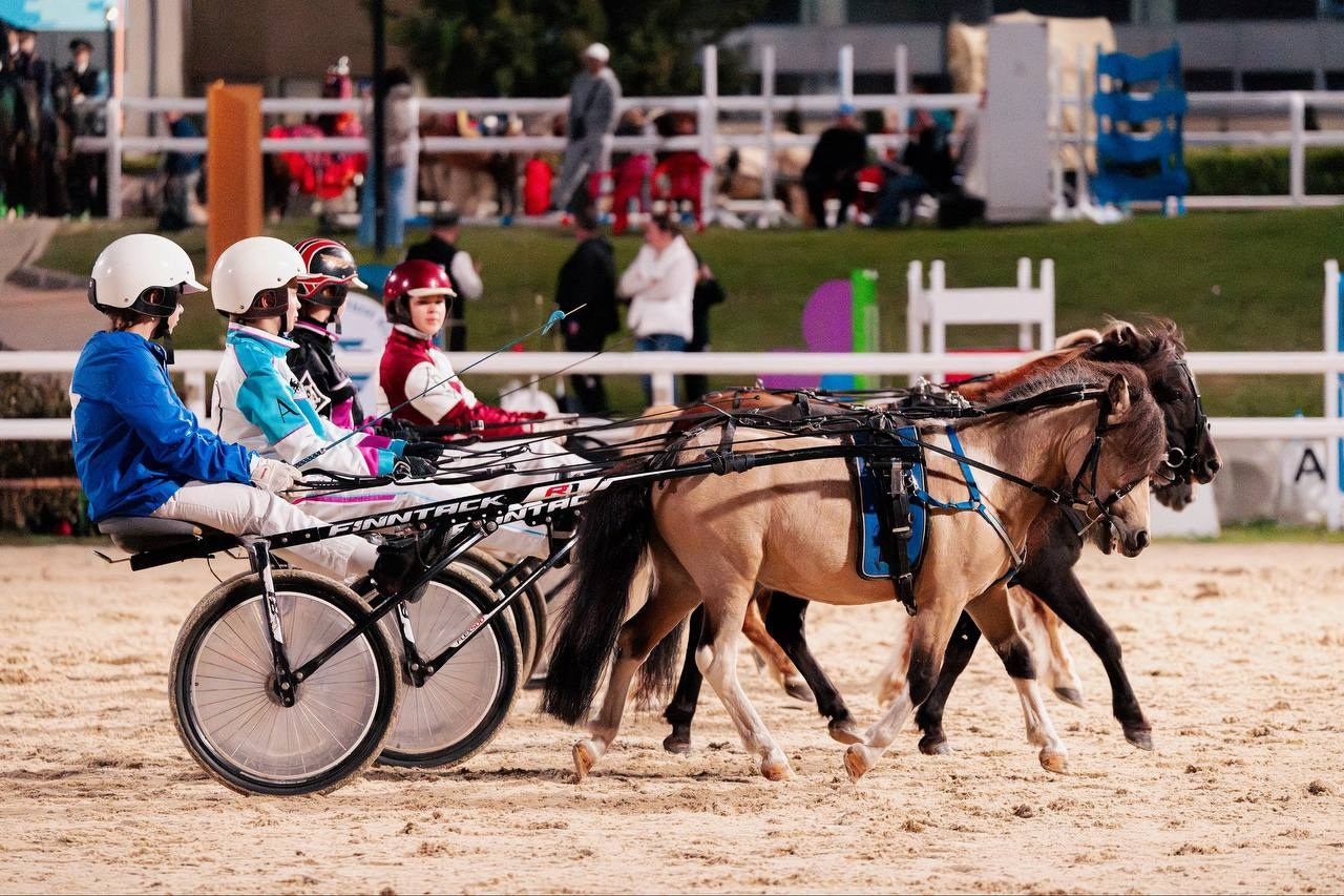 ЭКВИРОС — СЕНТЯБРЬ 2025. Куракина Дарья • Конный фотограф