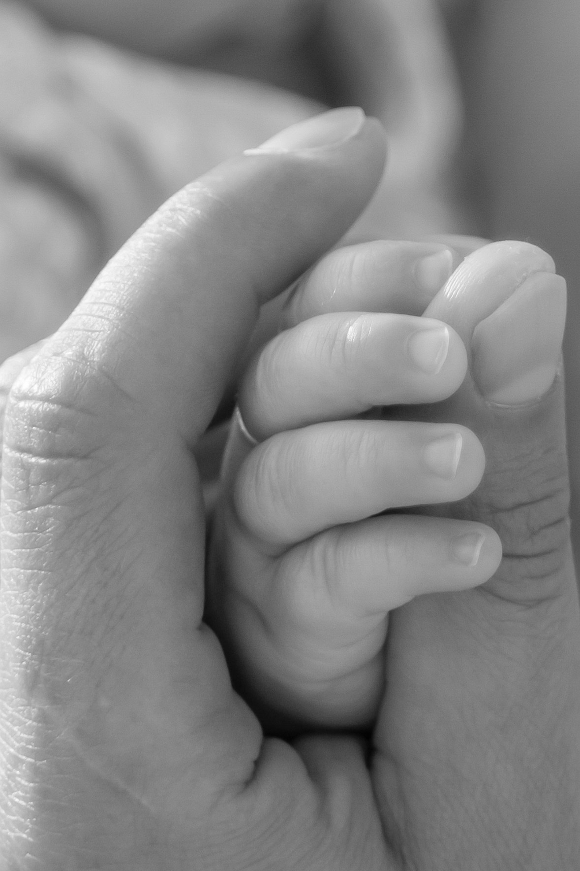 Семейная фотосессия на пляже в фуджейре отель palace beach resort. Фотограф и видеограф в Москве и Абу Даби Мария Кулагина