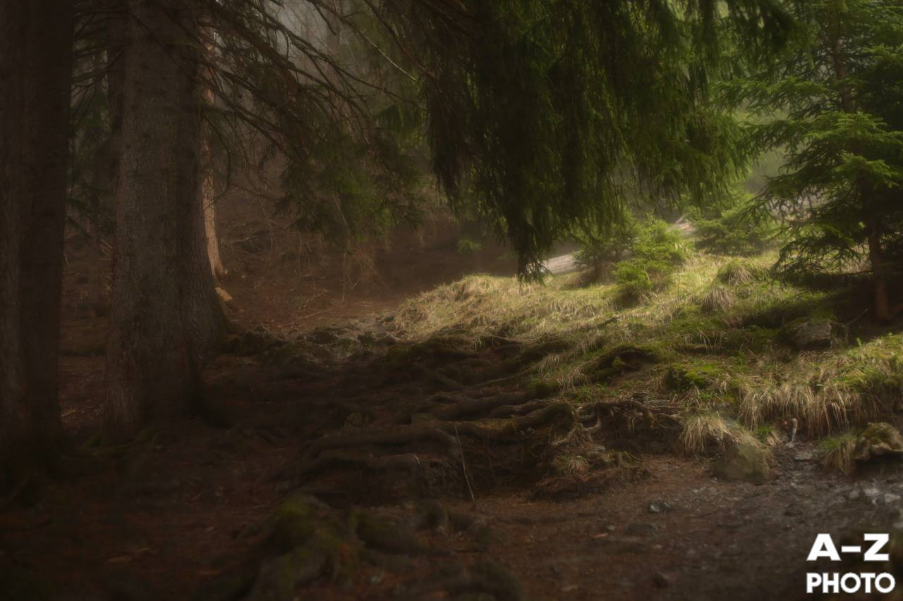 #ФОТОНЕДЕЛИ 20.04.2026. Женский семейный фотограф Тула Москва Захарова Анна