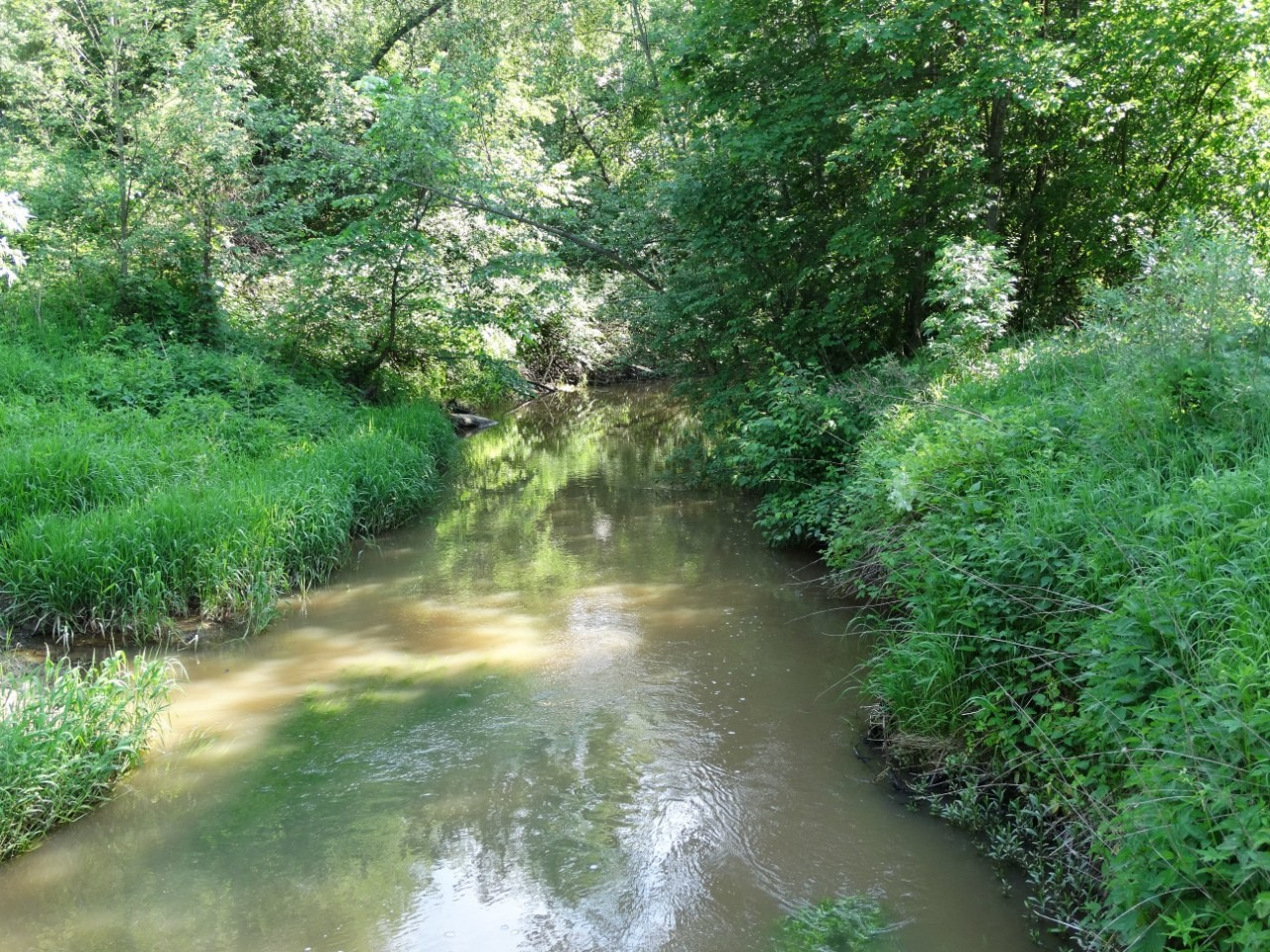 Звенигород | 07.06.2015. Галерея Фантим