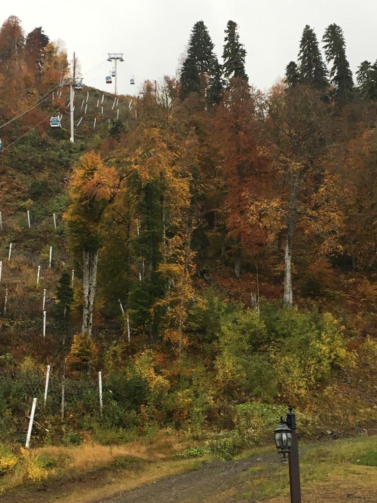 Сочи | 05-06.10.2019. Галерея Фантим