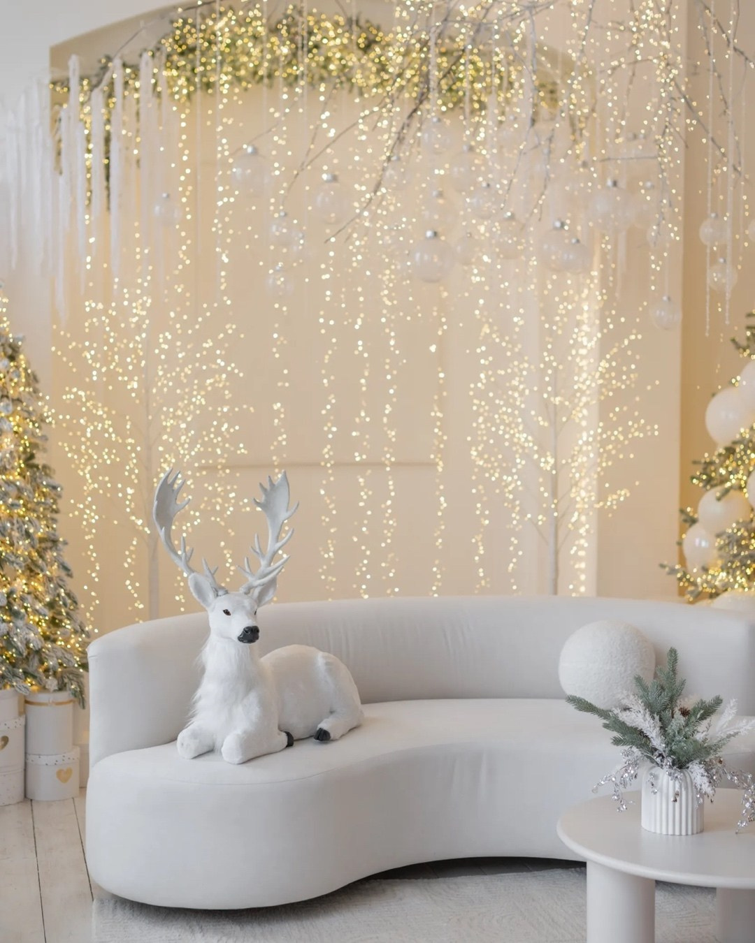 Фотостудии. Фотограф в Омске Евгения Каргаполова