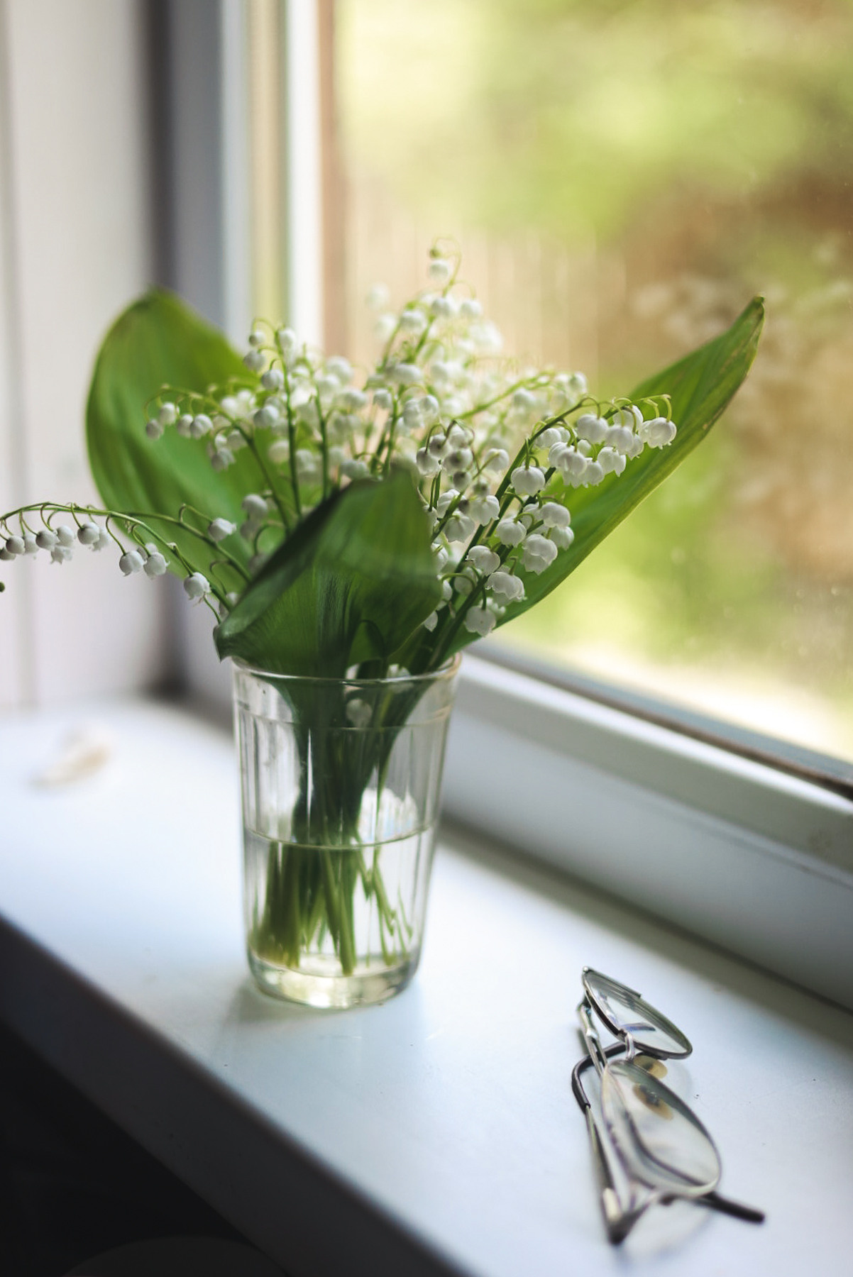 Фотографии бабушек за игрой в домино и дачной жизни. Портретный и семейный фотограф в Москве Мария Рослякова