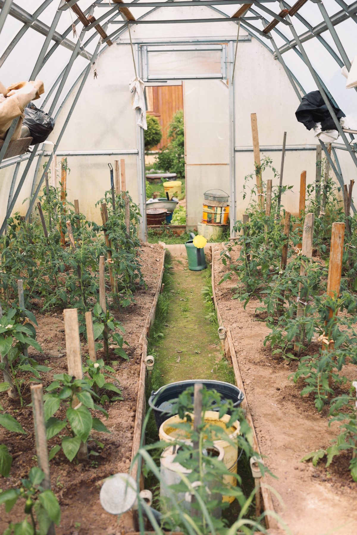 Фотографии бабушек за игрой в домино и дачной жизни. Портретный и семейный фотограф в Москве Мария Рослякова