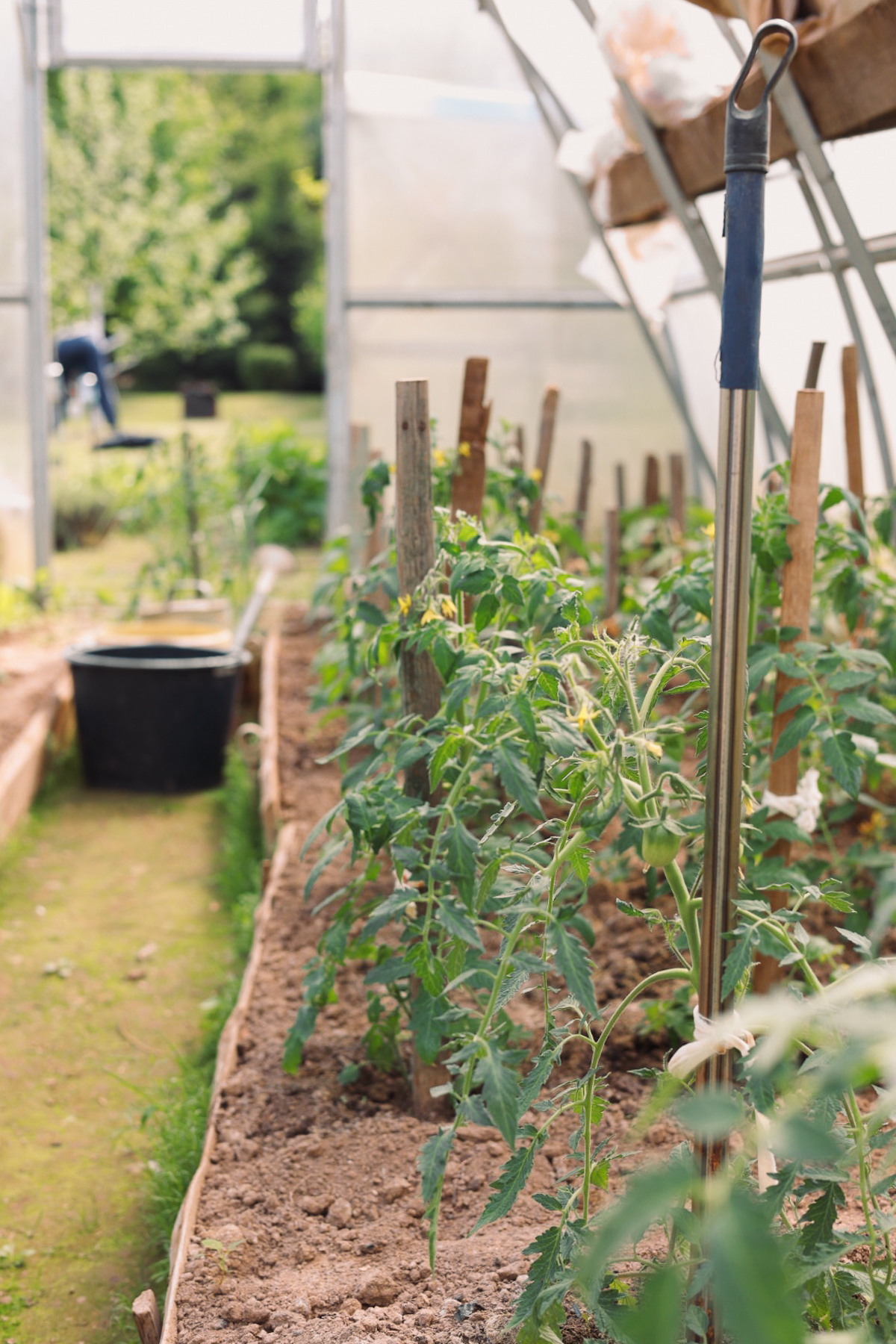 Фотографии бабушек за игрой в домино и дачной жизни. Портретный и семейный фотограф в Москве Мария Рослякова