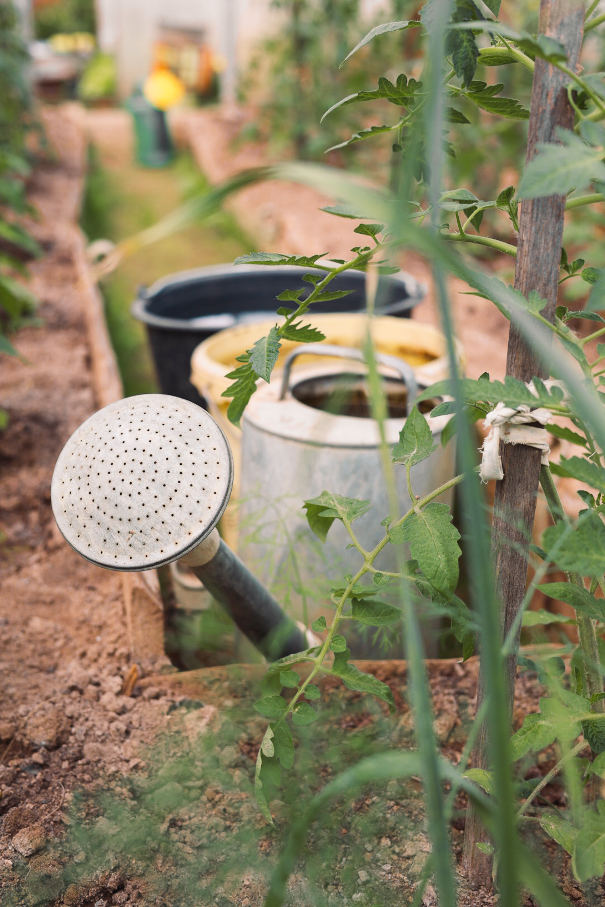 Фотографии бабушек за игрой в домино и дачной жизни. Портретный и семейный фотограф в Москве Мария Рослякова