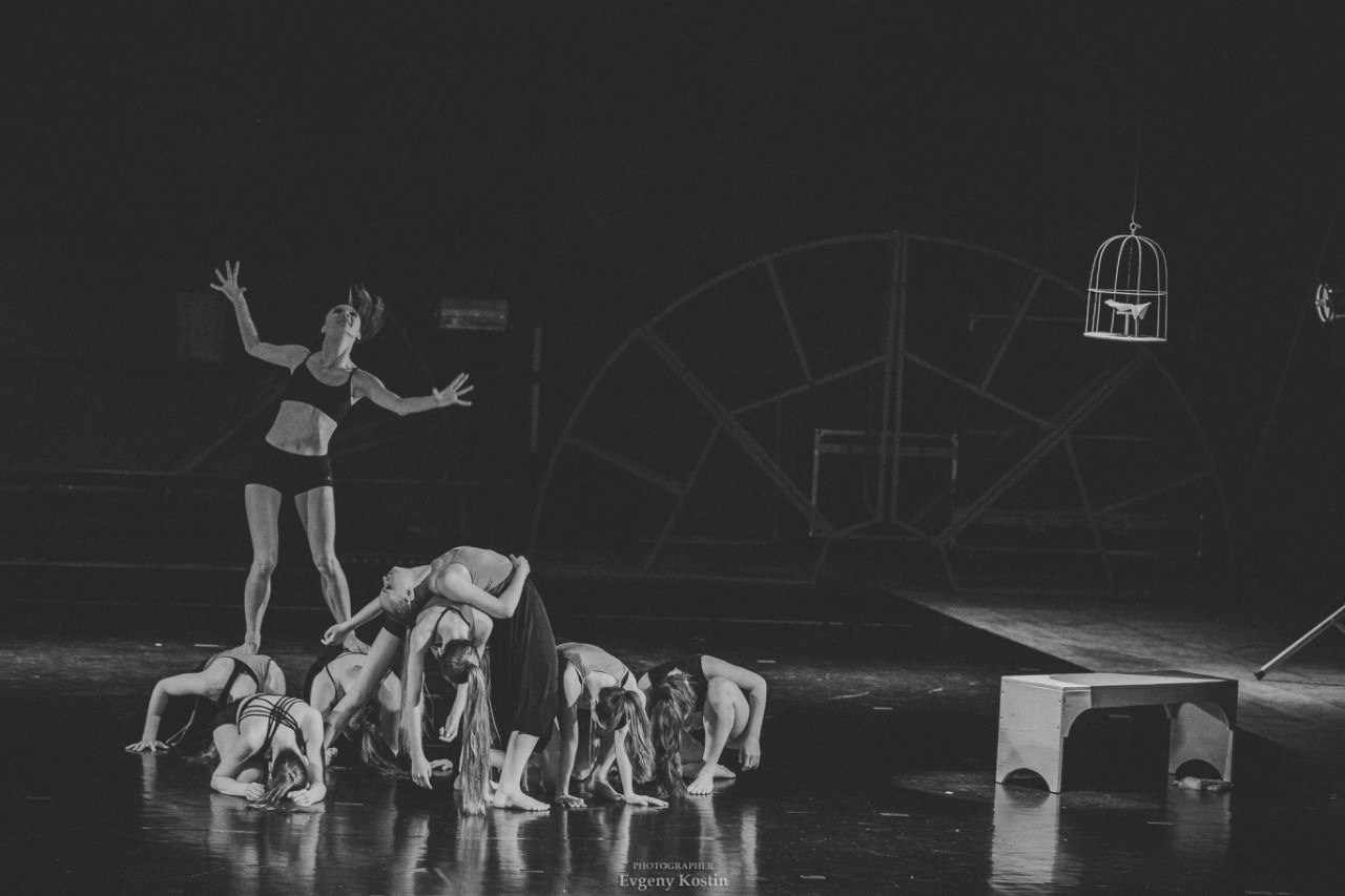 Репортаж. Костин Евгений | Фотограф на свадьбы и мероприятия во Владимирской области