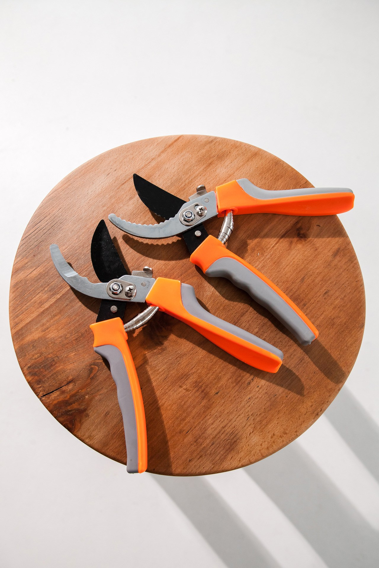 Секатор. Портретный, семейный, свадебный фотограф в Брянске Маргарита Василькова