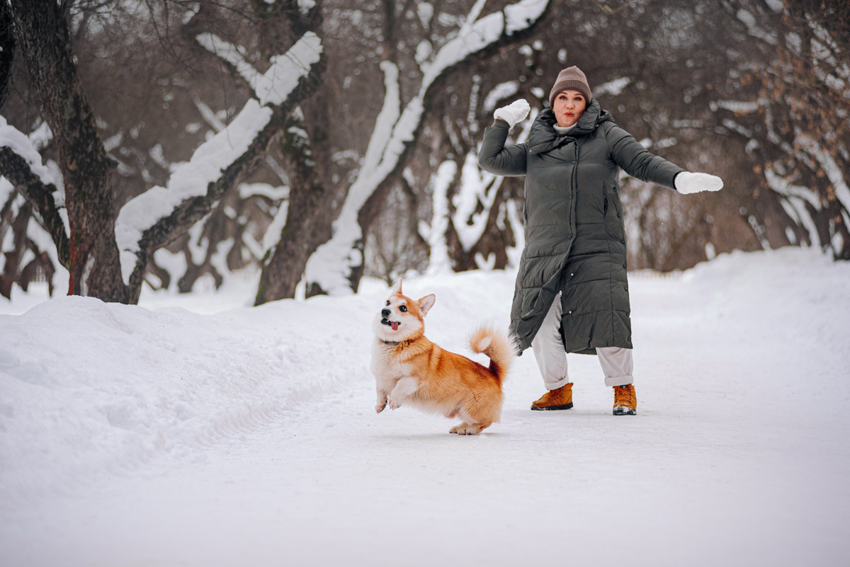 Нортон и его семья. Фотограф — анималист Саратов/Москва|Плужникова Юлия